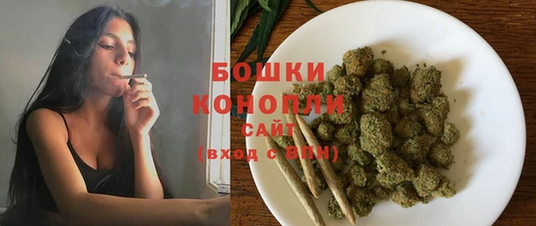 винт Липки