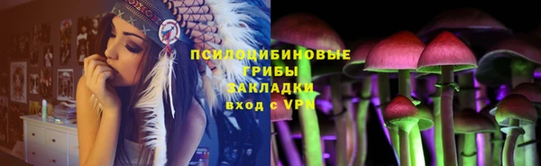 винт Липки