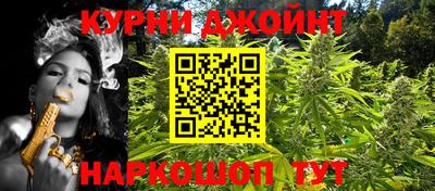 шишки Заводоуковск