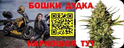 шишки Заводоуковск