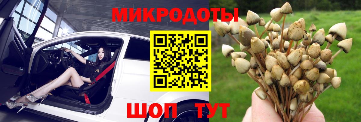 закладки  Вход с VPN  Ноябрьск  Галлюциногенные грибы прущие грибы 